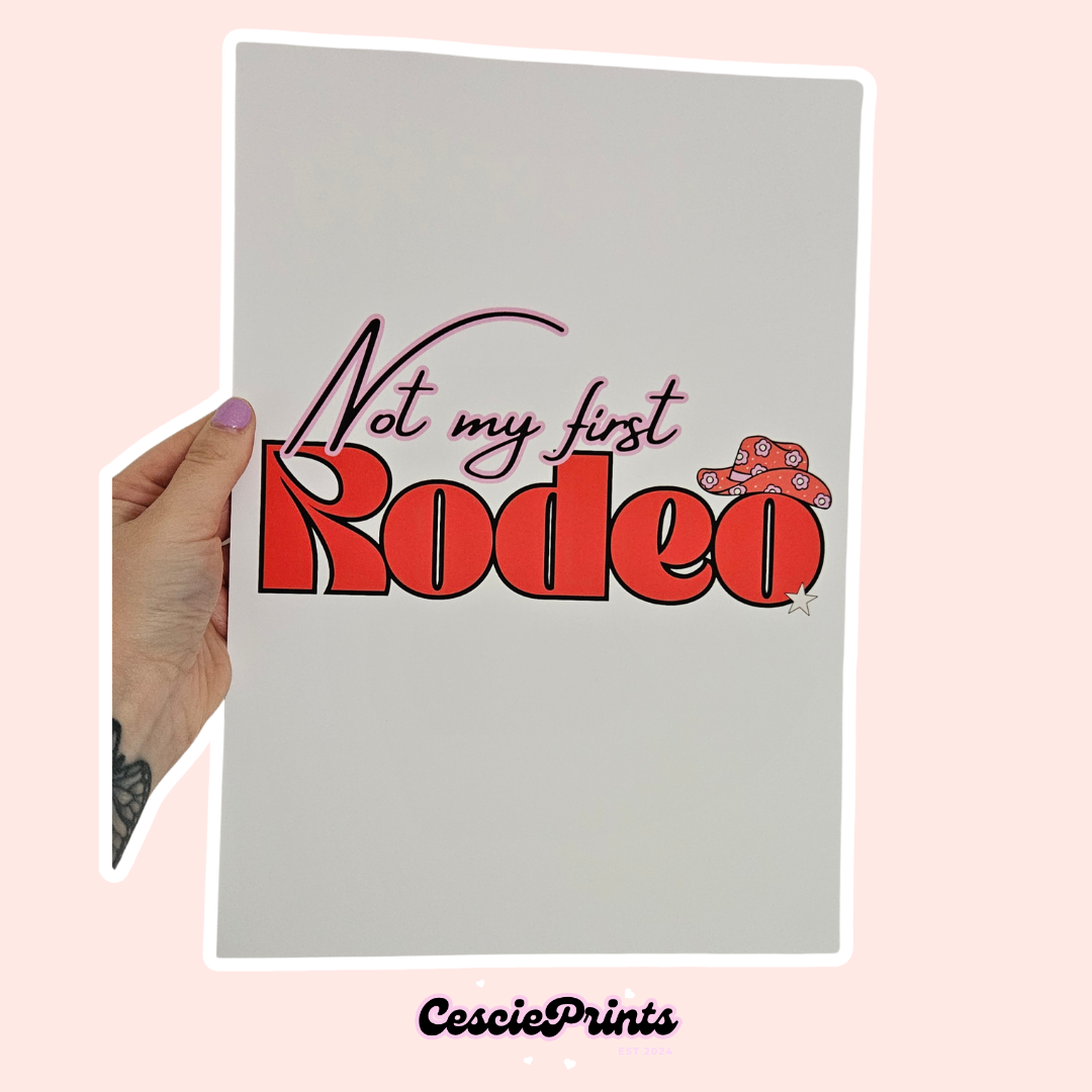 Set of 3 Pink and Red Cowgirl A4 Wall Art Prints